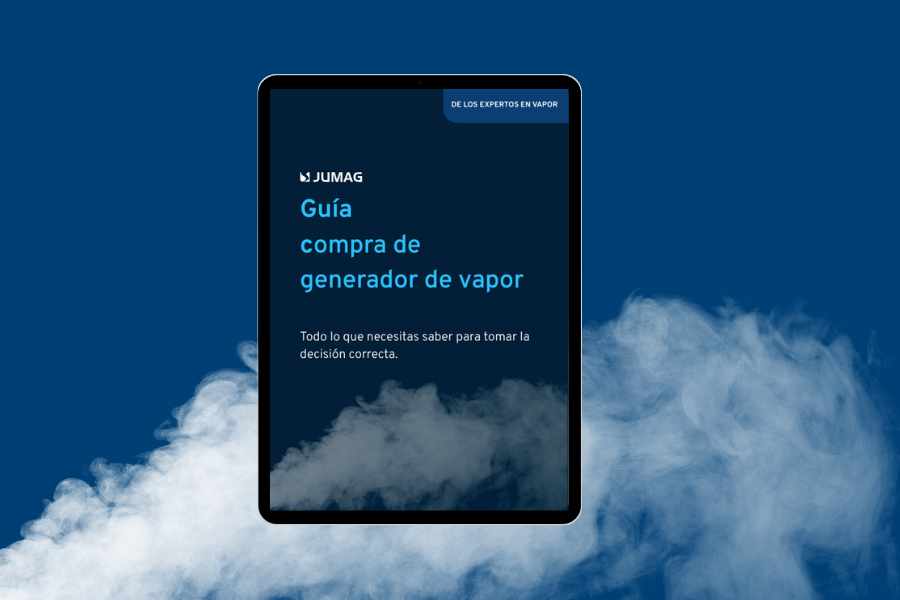 guía-generadores-de-vapor guía-generadores-de-vapor